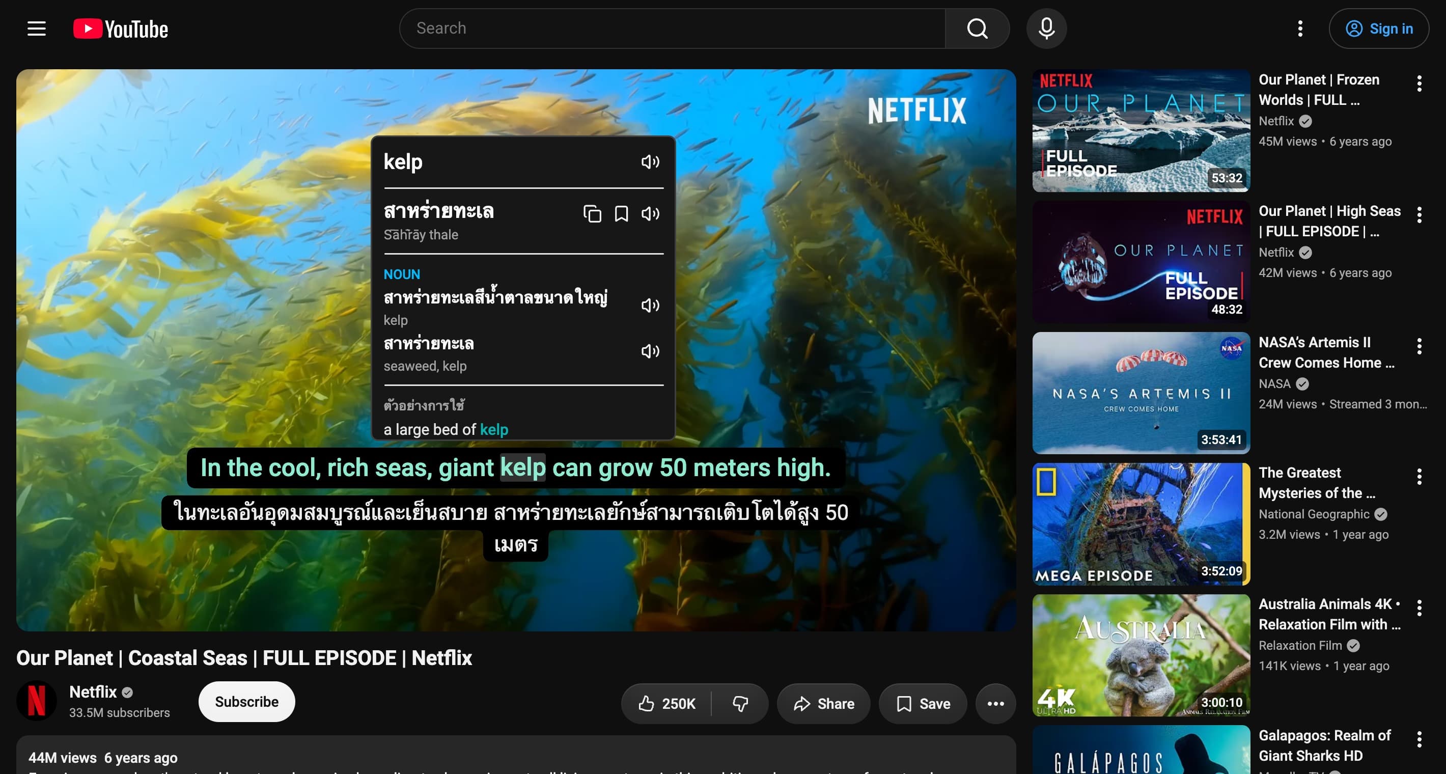 ภาพหน้าจอ DoubleSubs 1 จาก 4